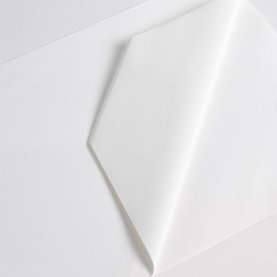 VCXR101WG1 - Blanc Brillant adh permanent extra renforcé incolore